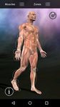 Puntos Musculares Anatomia captura de pantalla apk 10