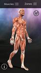 Captura de tela do apk Muscle Trigger Point Anatomy 7