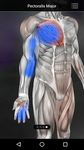 Скриншот 4 APK-версии Muscle Trigger Point Anatomy