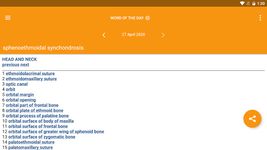 Скриншот 11 APK-версии Pocket Atlas of Anatomy TR