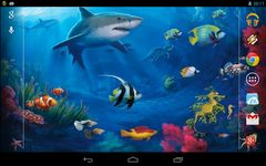 Interactive Shark screenshot apk 2