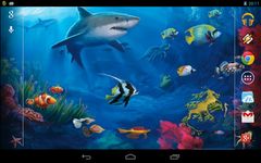 Interactive Shark screenshot apk 