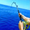 imagen fish fishing 0mini comments