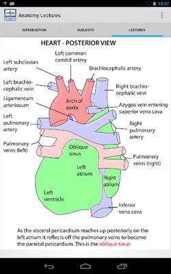 Image 3 of Anatomy Lectures