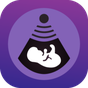 Pregnancy Tracker APK