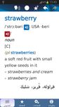 Oxford Learner’s Dict.: Arabic screenshot apk 1