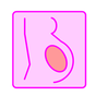 Pregnancy calculator icon