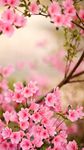 Hoa mùa xuân Hình Nền Động ảnh màn hình apk 8