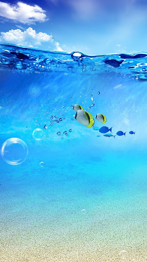 Cập nhật 100 hình nền đại dương 3d mới nhất  Tin Học Vui