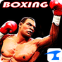 Ícone do apk Boxing Night 3D