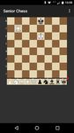 Senior Chess ekran görüntüsü APK 6