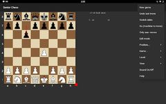 Senior Chess ekran görüntüsü APK 4