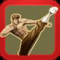 KungFu Quest : The Jade Tower APK