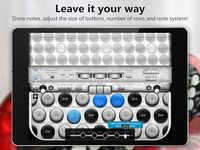 Acordeón Cromático de Botones captura de pantalla apk 8