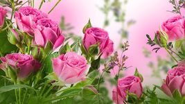 Rose Live Wallpaper screenshot apk 