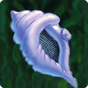 Magic Conch APK