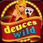 Ícone do apk Deuces Wild - Video Poker