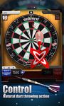 Darts Match screenshot apk 12