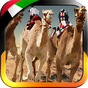 アラブ首長国連邦キャメルレーシング - 無料ゲーム APK アイコン