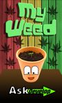 Imej My Weed - Grow Marijuana  Free 3