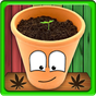 Icône apk MyWeed - Grow Weed - Free