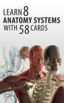 Anatomie -Flash-Karten Screenshot APK 4