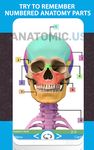 Anatomie -Flash-Karten Screenshot APK 5