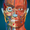 AnatomyLearning - 3D Atlas  APK
