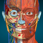 Ikon Anatomy Learning - 3D Atlas