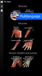 Anatomy Learning - 3D Atlas ekran görüntüsü APK 10