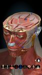 Tangkap skrin apk Anatomy Learning - 3D Atlas 7