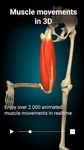 3D 解剖学 - Anatomy Learning 屏幕截图 apk 7