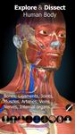 Tangkap skrin apk Anatomy Learning - 3D Atlas 23