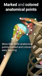 3D 解剖学 - Anatomy Learning 屏幕截图 apk 21