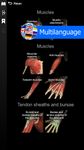 3D Anatomy Learning captura de pantalla apk 18