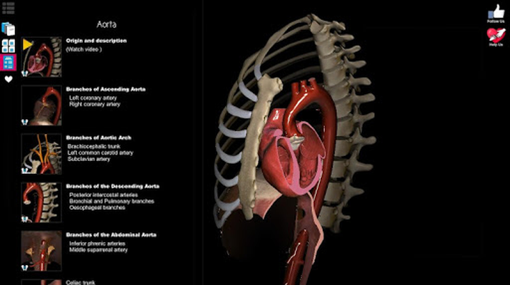 3d human anatomy atlas 2