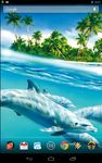 Magic Touch: Dolphins Screenshot APK 4