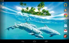 Magic Touch: Dolphins Screenshot APK 