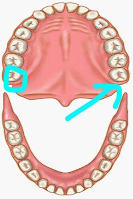 Image 6 of Dentist Pro