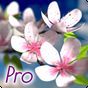 Icona Spring Flowers 3D Parallax Pro