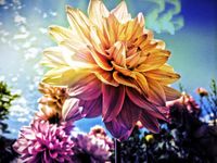 Simply HDR のスクリーンショットapk 7