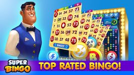 Super Bingo HD™ capture d'écran apk 14