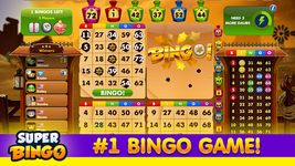 Super Bingo HD™ capture d'écran apk 11