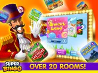 Super Bingo HD™ capture d'écran apk 7