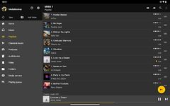 MediaMonkey ekran görüntüsü APK 4