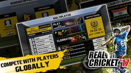 Real Cricket™ 17 afbeelding 4