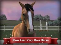 Captură de ecran My Horse apk 13