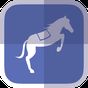 Ikon Horse Racing News - SF