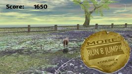 Tame your horse,pony & donkey capture d'écran apk 7