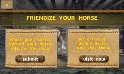 Tame your horse,pony & donkey의 스크린샷 apk 15